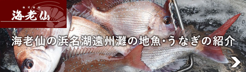 海老仙の浜名湖遠州灘の地魚・うなぎの紹介海老仙の浜名湖遠州灘の地魚・うなぎの紹介