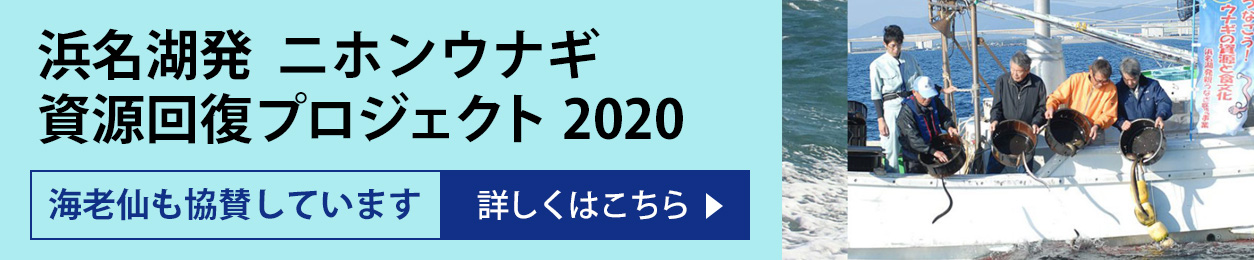 浜名湖発「二ホンウナギ資源回復プロジェクト2020」海老仙も協賛しています 詳しくはこちら
