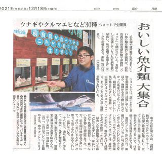 浜名湖体験学習施設ウォットで企画展（中日新聞）