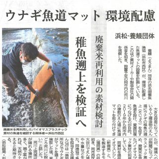 浜名湖養魚協　ウナギ魚道マット環境配慮（静岡新聞）