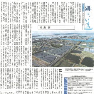 養鰻池とソーラーパネル（中日新聞）