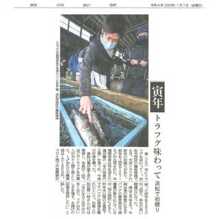 トラフグ　浜松で初競り（静岡新聞）