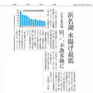 浜名湖水揚げ過去最低を更新（静岡新聞）