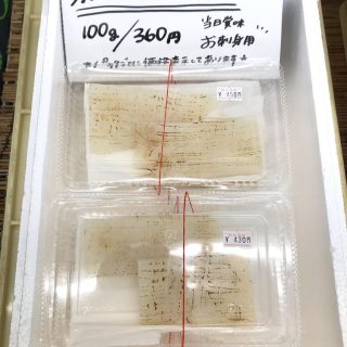 紋甲イカ炙り　お刺身用